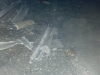 Gym Crawl Space 1