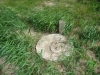 St. Mary's Septic Tank Entrance