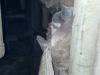 1st floor bathroom piping 1